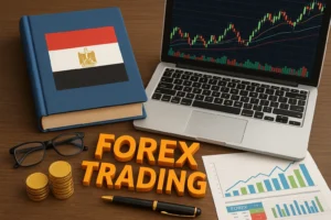 أفضل شركات تداول الفوركس في مصر للمبتدئين والمحترفين