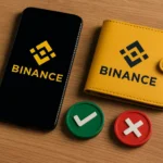 محفظة بينانس | مميزات وعيوب