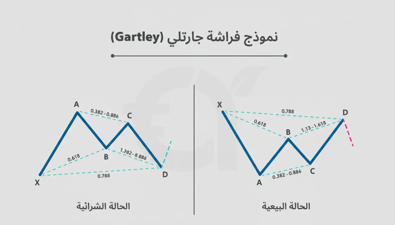 مكونات نموذج جارتلي
