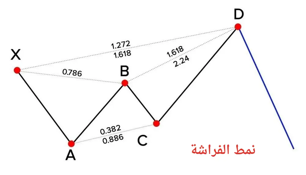 نمط الفراشة