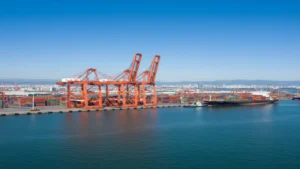 مصر تخطط لخفض الرسوم الجمركية على مستلزمات صناعة السيارات والأجهزة الكهربائية