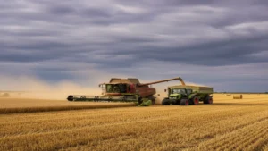 قفزة أسعار القمح مع استمرار الجفاف وأزمة الأسمدة المرتبطة بحرب إيران